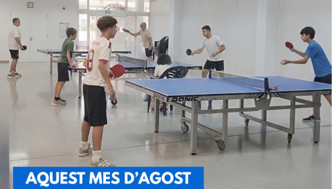 AQUEST MES D'AGOST VINE A JUGAR