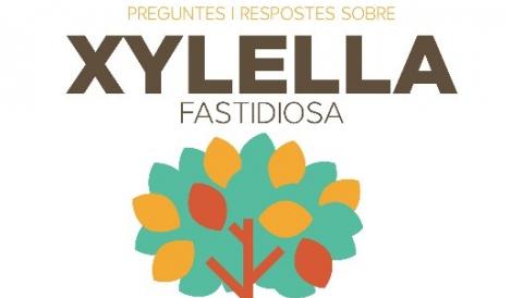 Xylella fastidiosa. Informació